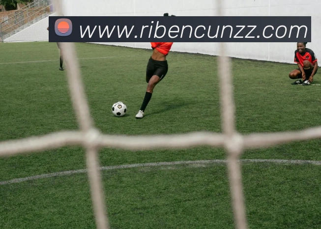 云开体育app官网入口登录网页版发展历程